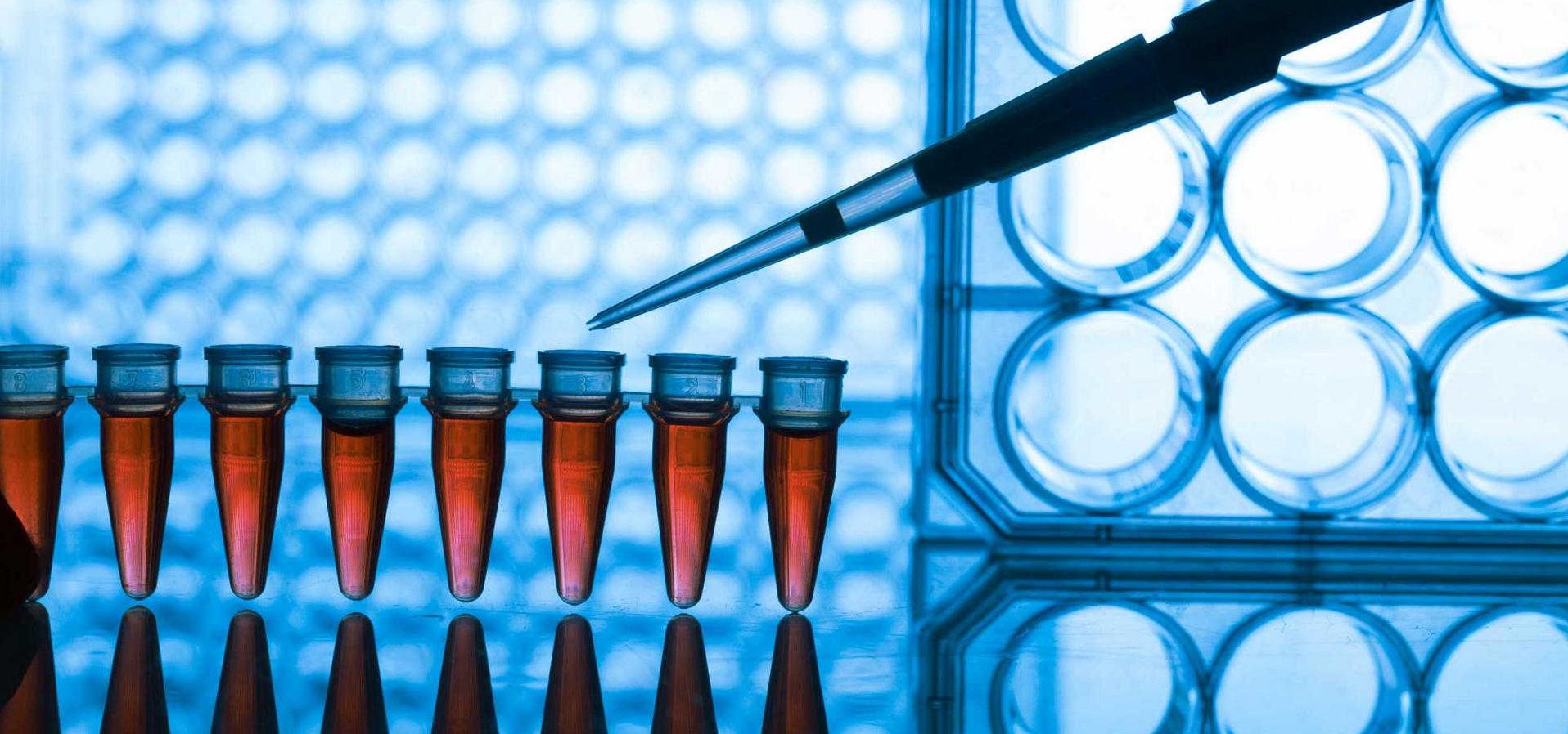 ELISA (Enzyme-Linked-Immunosorbent Assay) - Berthold Technologies