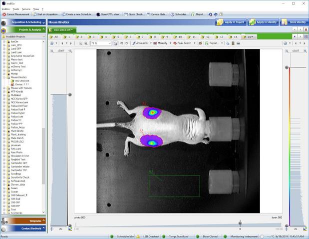 A screenshot of the Indigo software for in vivo imaging with a picture of a mouse
