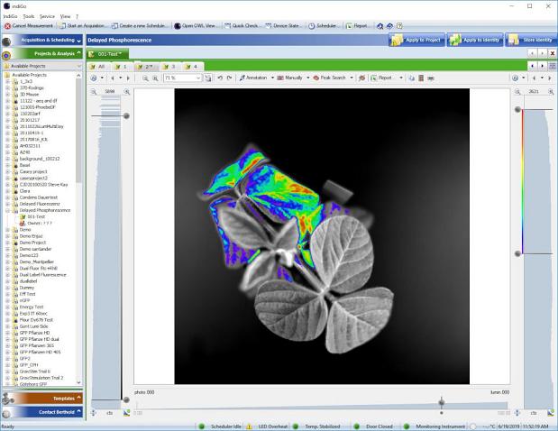Indigo software for in vivo imaging with the picture of a plant